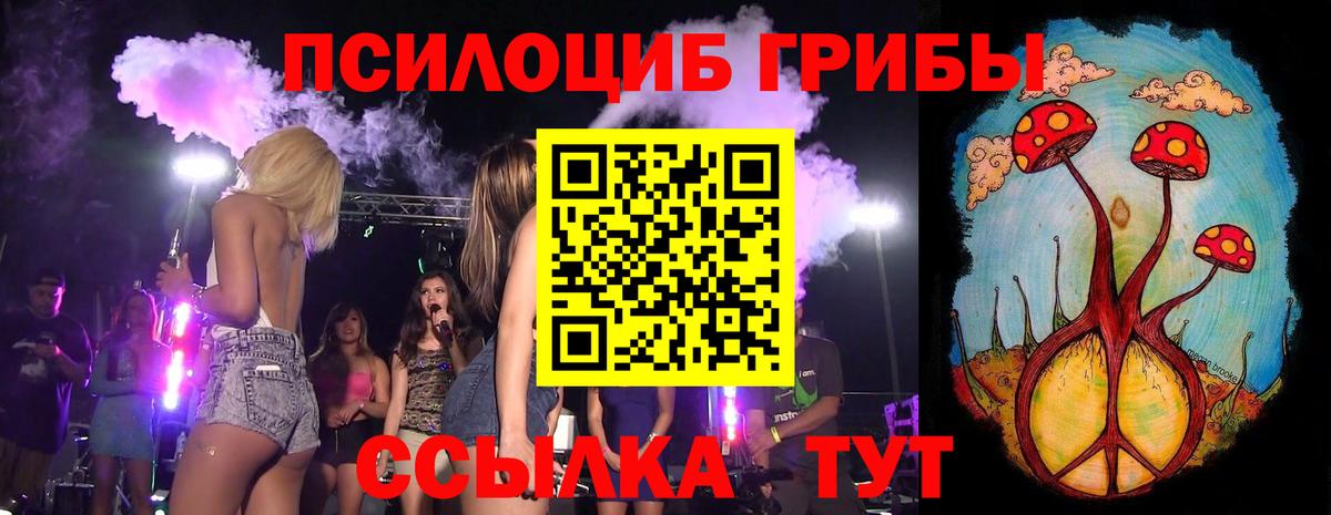 Сальск  Псилоцибиновые грибы мицелий  Вход с VPN 
