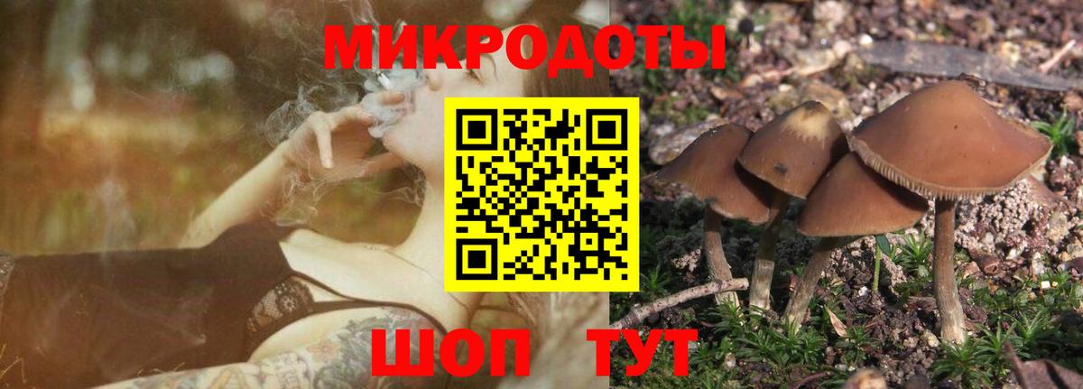 Галлюциногенные грибы мухоморы Сальск