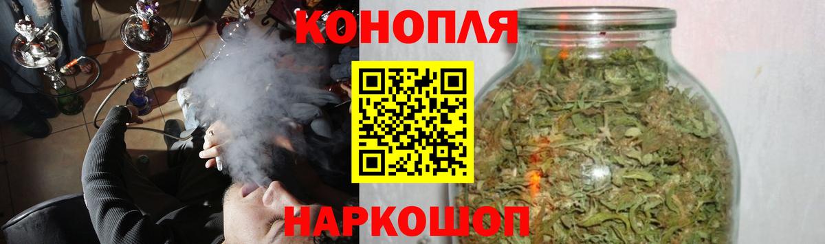 МАРИХУАНА сатива Сальск